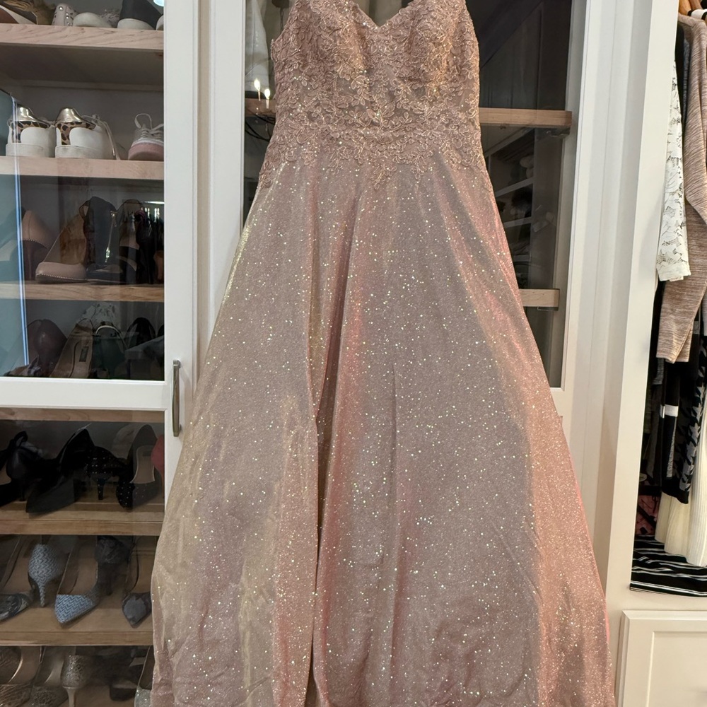 Sparkling Dusty Pink Champagne Gown